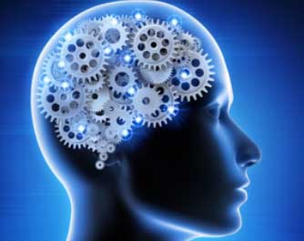 Neurologue Gobert Marc 